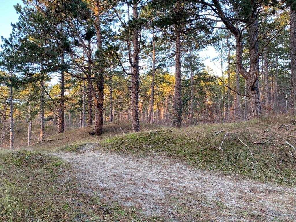 Gezellig Gastenverblijf In Het Centrum Burgh-Haamstede Esterno foto
